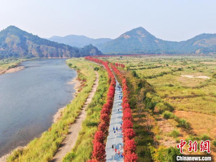 龙虎山马拉松首设全程组 4000选手畅跑山水画卷